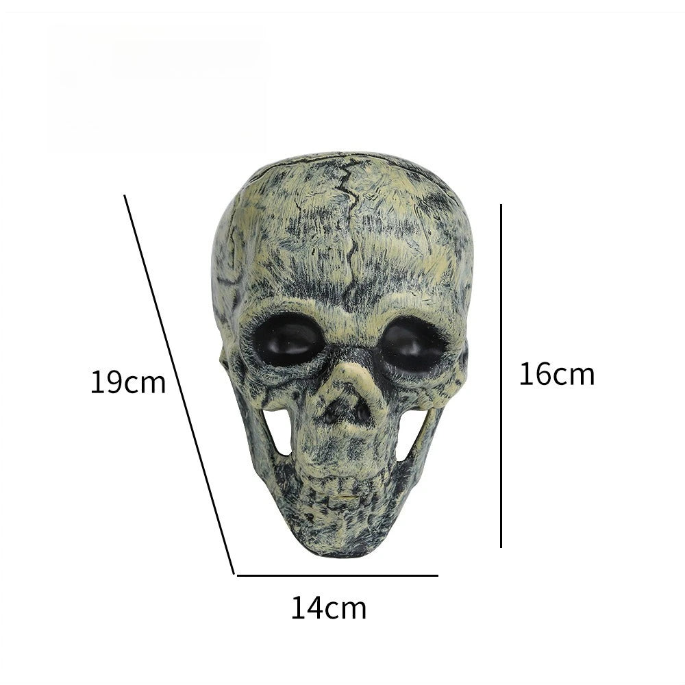 Posable Halloween Skeleton (40/90cm) Human Bones for Party & Haunted House Decor