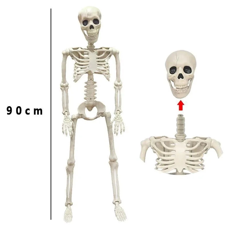 Posable Halloween Skeleton (40/90cm) Human Bones for Party & Haunted House Decor