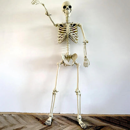Life-Size Halloween Skeleton with Posable Joints for Garden & Spooky Photo Props