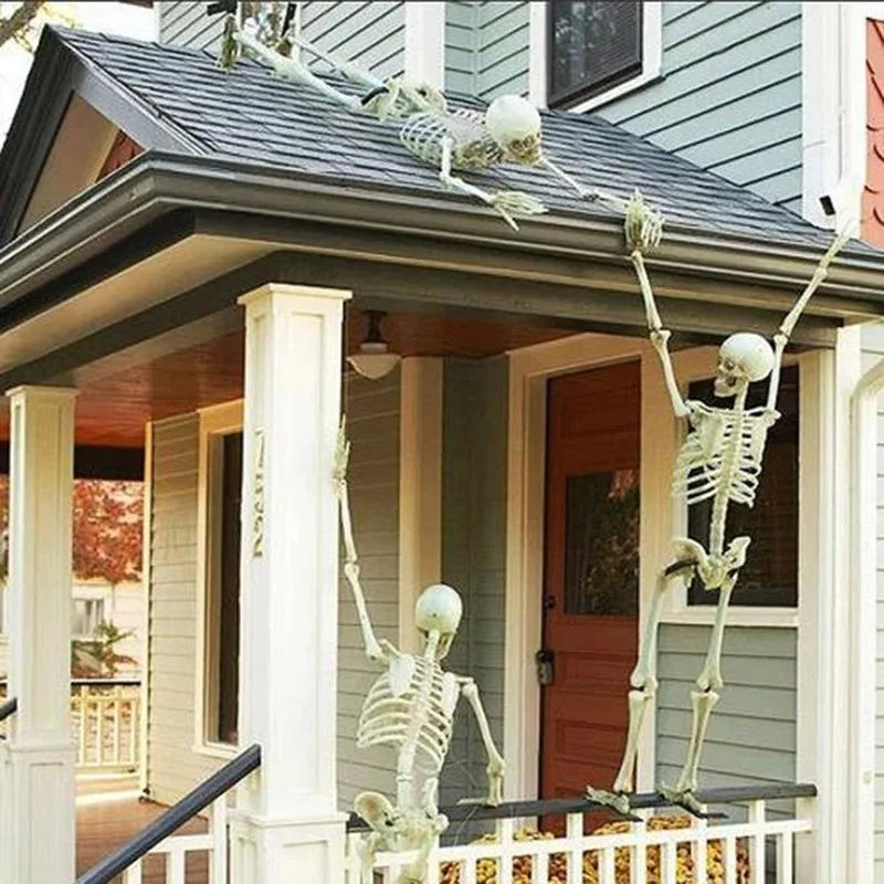 Posable Halloween Skeleton (40/90cm) Human Bones for Party & Haunted House Decor
