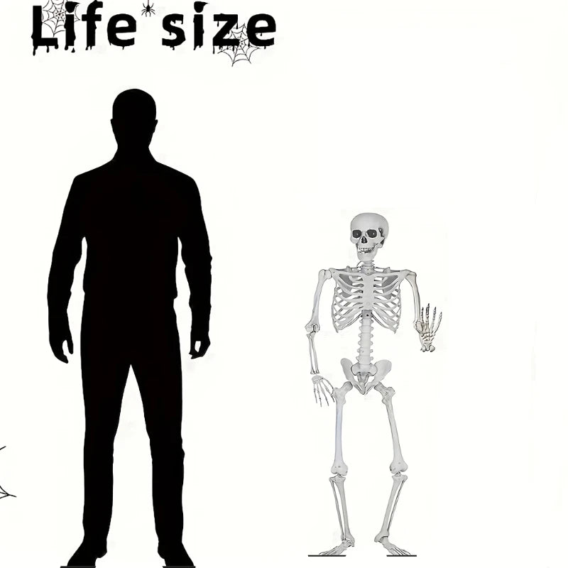 Full Life-Size 90CM Movable Human Skeleton Halloween Hanging Prop