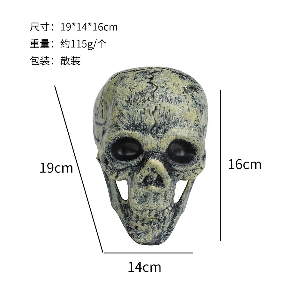 Posable Halloween Skeleton (40/90cm) Human Bones for Party & Haunted House Decor