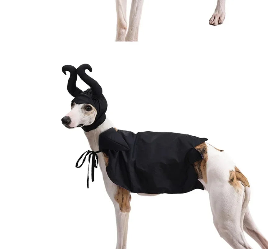 Halloween Dog Cloak & Hat, Sleep Curse Cat Hat Pet Decoration