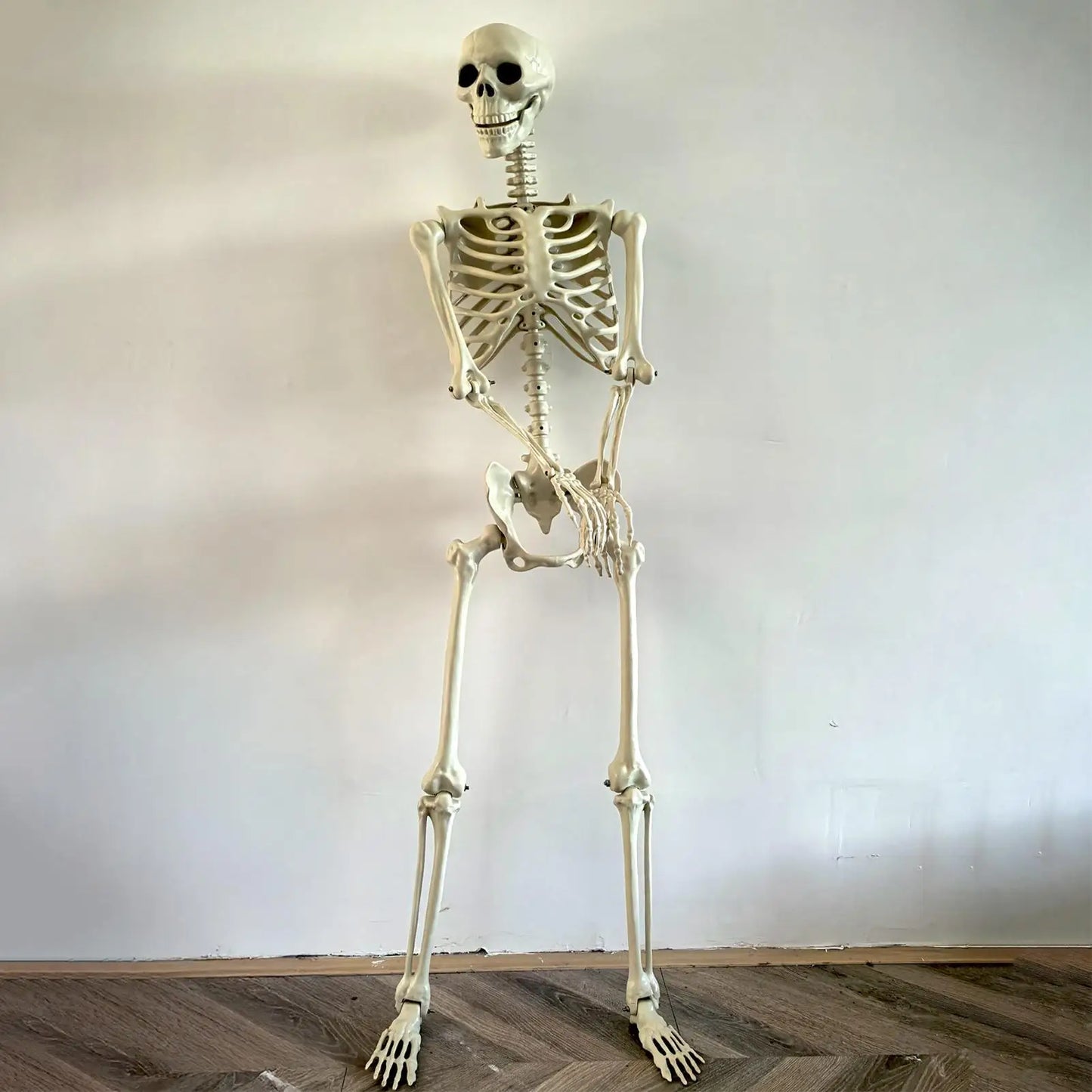 Life-Size Halloween Skeleton with Posable Joints for Garden & Spooky Photo Props