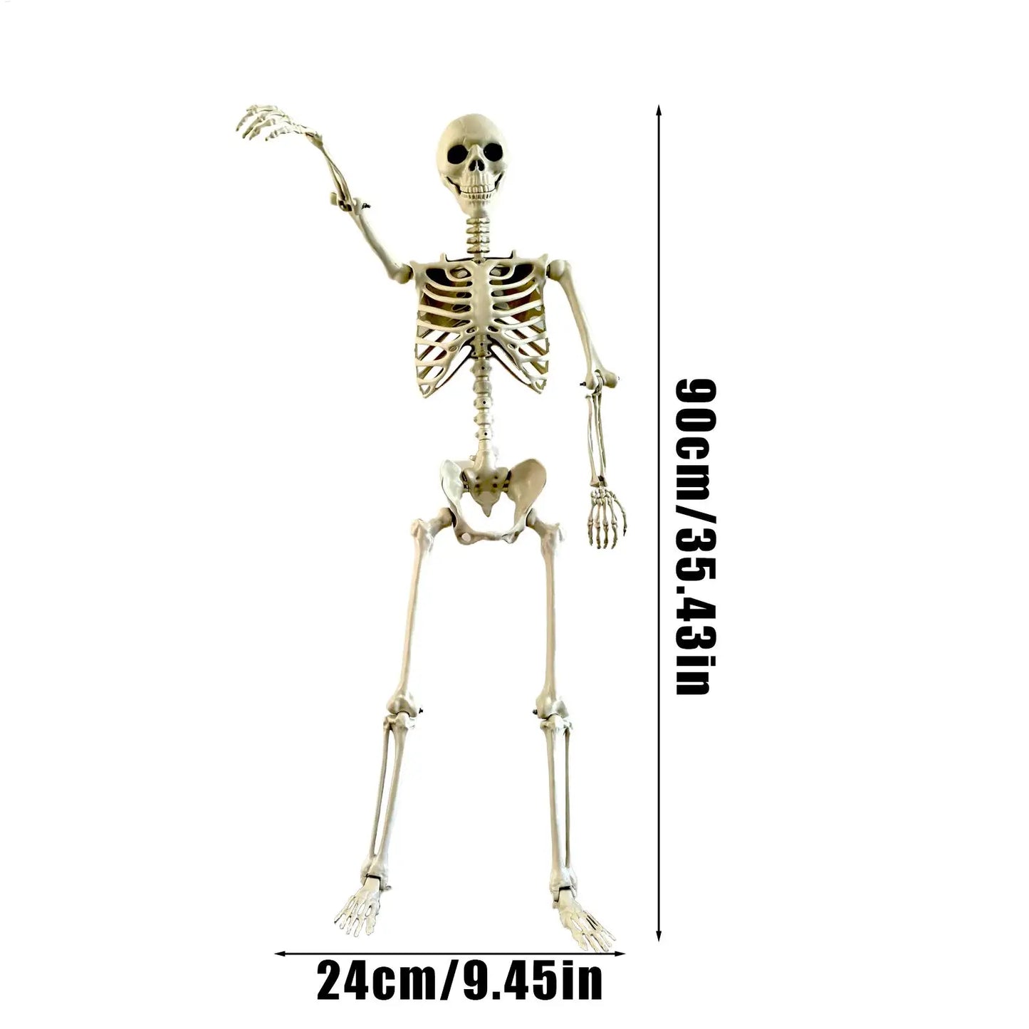 Life-Size Halloween Skeleton with Posable Joints for Garden & Spooky Photo Props