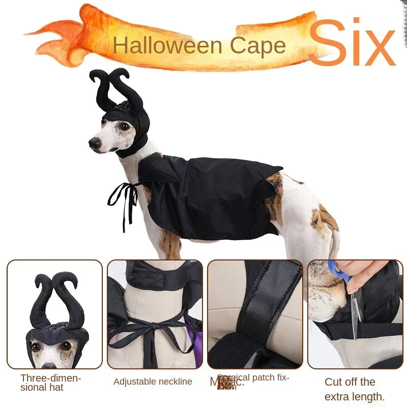 Halloween Dog Cloak & Hat, Sleep Curse Cat Hat Pet Decoration
