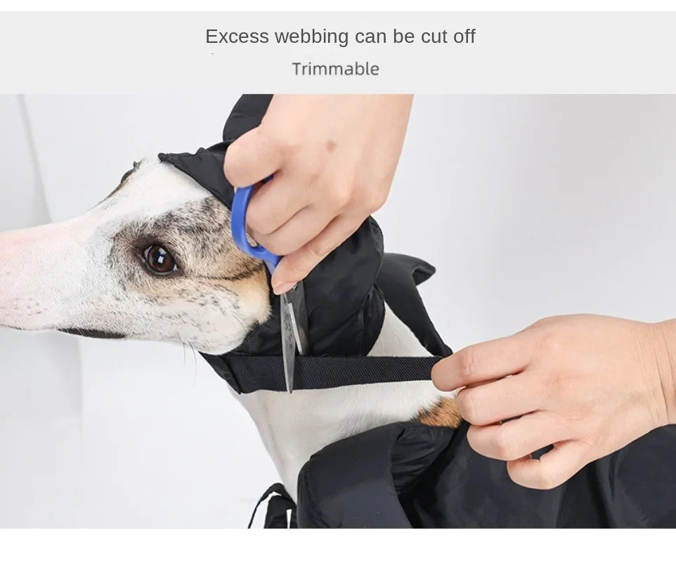 Halloween Dog Cloak & Hat, Sleep Curse Cat Hat Pet Decoration