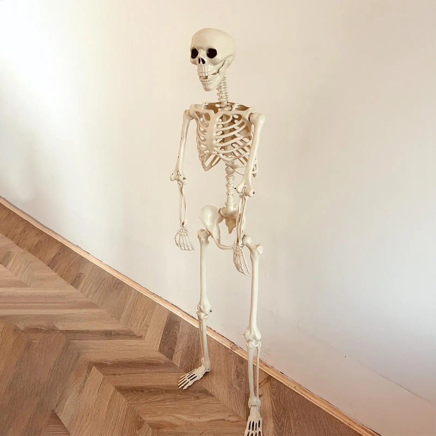 Life-Size Halloween Skeleton with Posable Joints for Garden & Spooky Photo Props