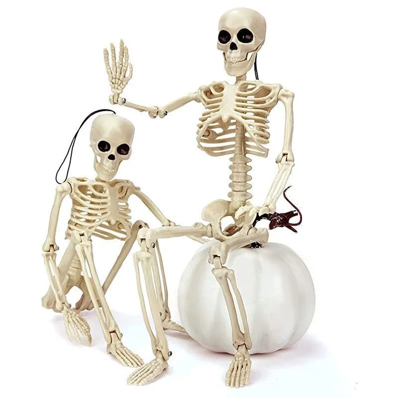 Posable Halloween Skeleton (40/90cm) Human Bones for Party & Haunted House Decor