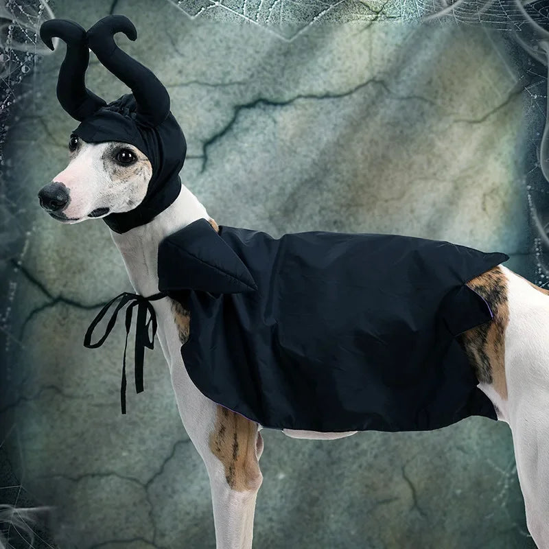Halloween Dog Cloak & Hat, Sleep Curse Cat Hat Pet Decoration