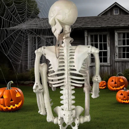 Posable Halloween Skeleton (40/90cm) Human Bones for Party & Haunted House Decor