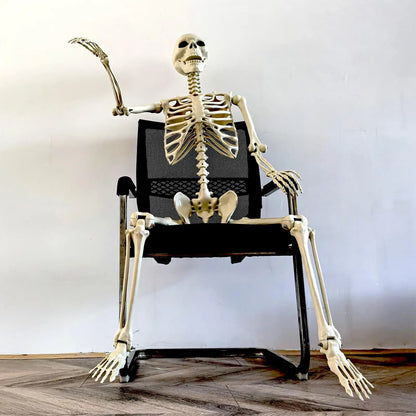 Life-Size Halloween Skeleton with Posable Joints for Garden & Spooky Photo Props