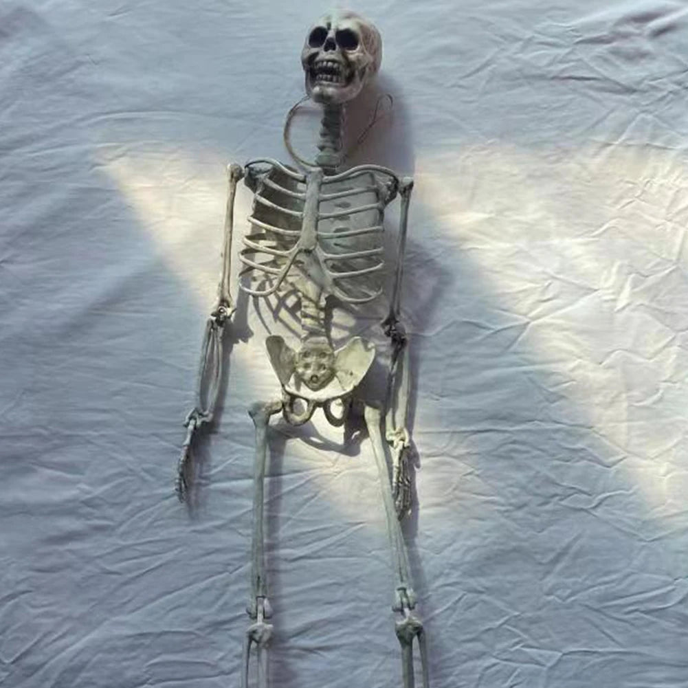 Full Life-Size 90CM Movable Human Skeleton Halloween Hanging Prop