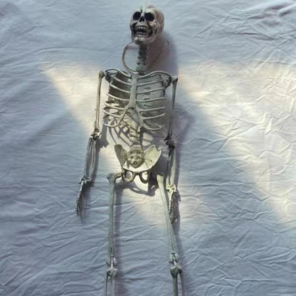 Full Life-Size 90CM Movable Human Skeleton Halloween Hanging Prop
