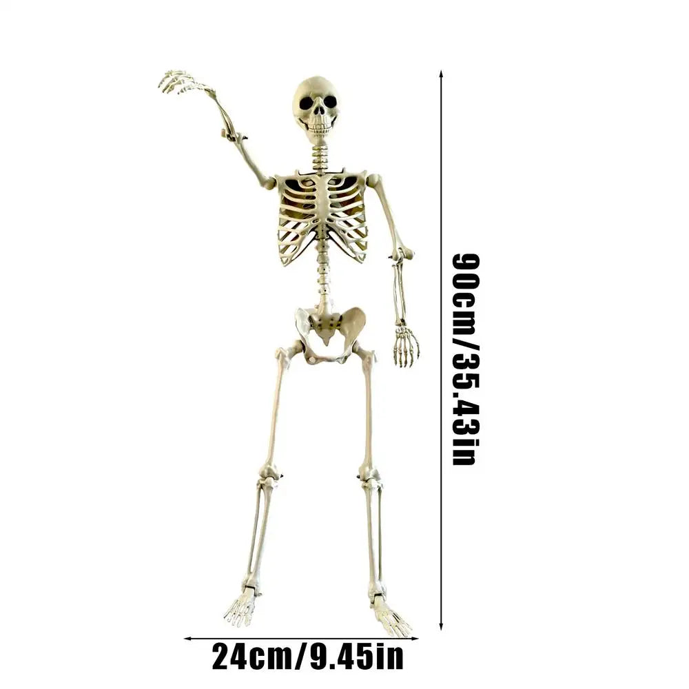 Life-Size Halloween Skeleton with Posable Joints for Garden & Spooky Photo Props