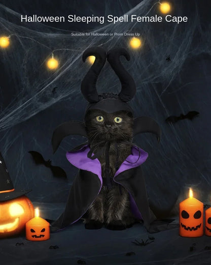 Halloween Dog Cloak & Hat, Sleep Curse Cat Hat Pet Decoration